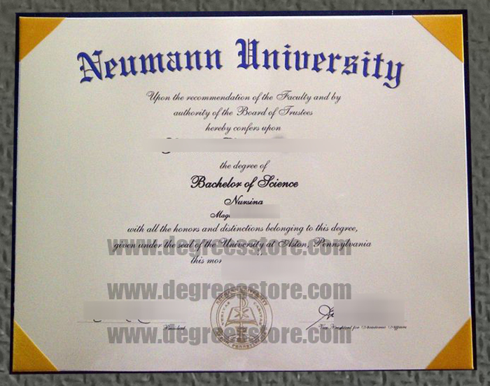 Neumann University diploma