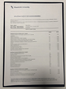 Universiteit Maastricht Transcript sample