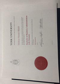 York University Degree 2025