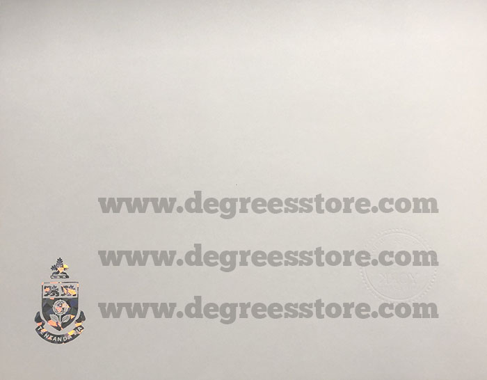 York University Degree sample