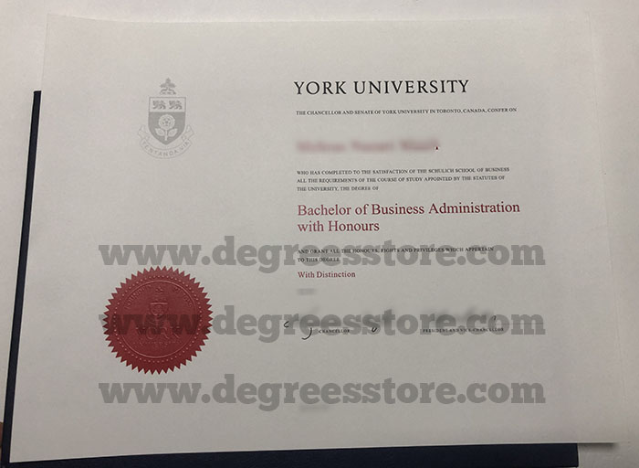 York University Degree