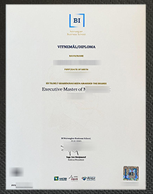 BI Norwegian Business School diploma sample