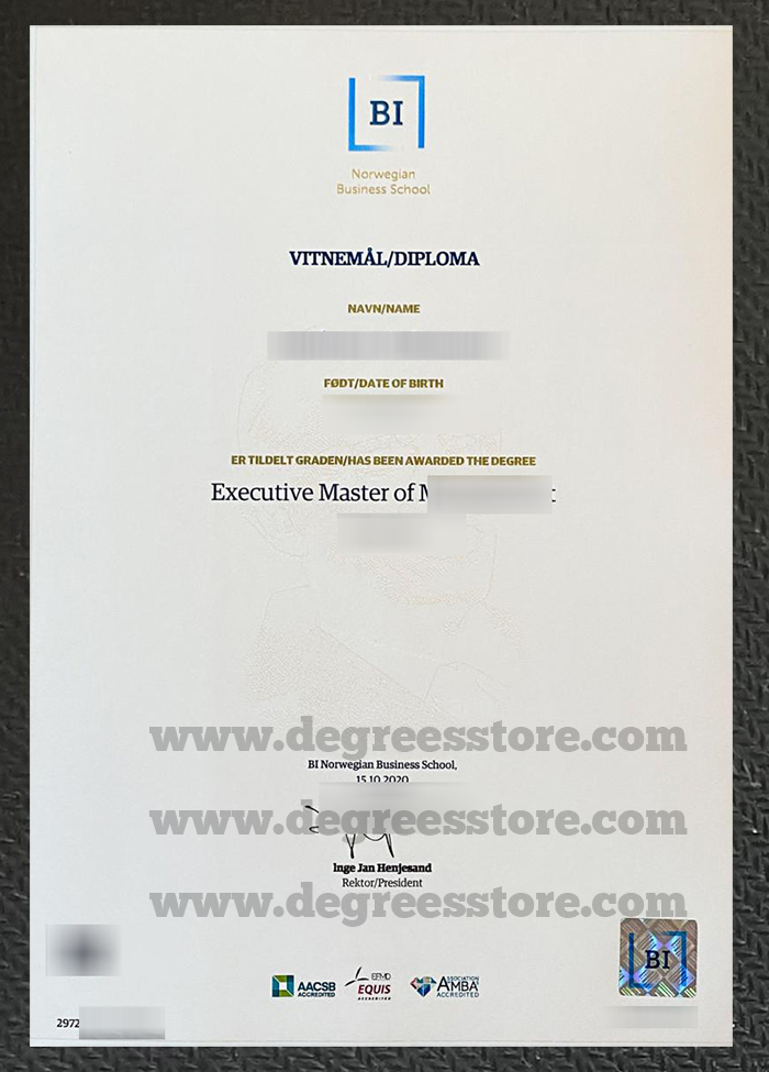 BI Norwegian Business School diploma