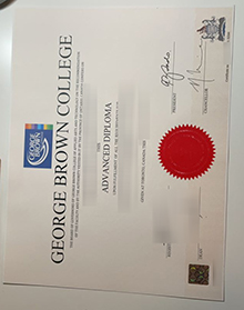 George Brown College diploma SAMPLE