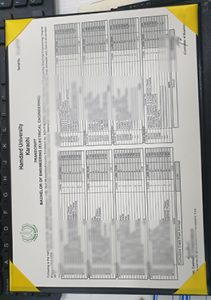Hamdard University transcript sample