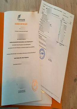 Metropolia University of Applied Sciences degree and transcript.