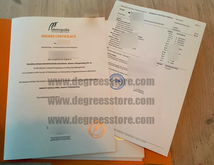 Metropolia University of Applied Sciences degree and transcript