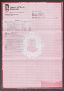 Northern Illinois University transcript s