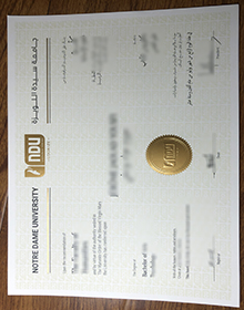 Notre Dame University–Louaize diploma