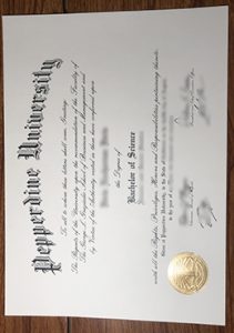 Pepperdine University Degree sample
