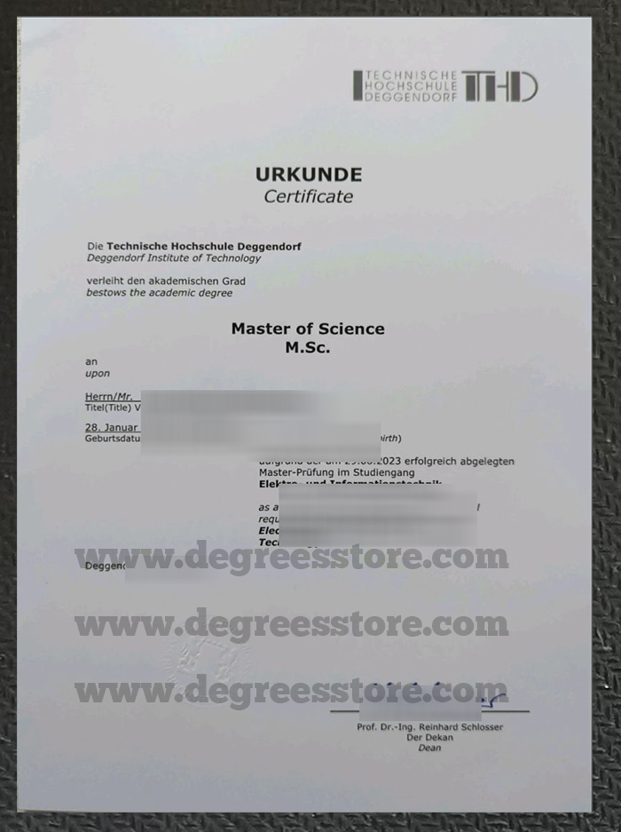 Technische Hochschule Deggendorf Urkunde sample