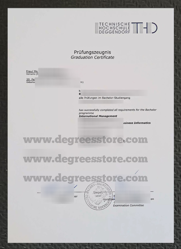 Technische Hochschule Deggendorf Zeugnis sample