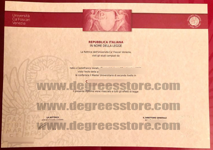 Università Ca’ Foscari Venezia degree
