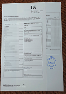 University of Sussex transcript