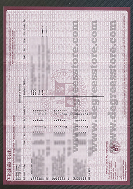 Virginia Tech transcript