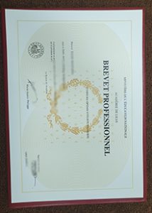 Académie de Lille diploma sample