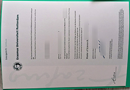 Erasmus Universiteit Rotterdam Getuigschrift sample
