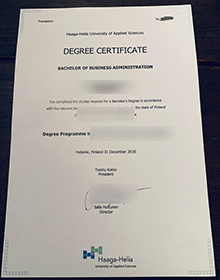 Haaga-Helia University of Applied Sciences degree sample