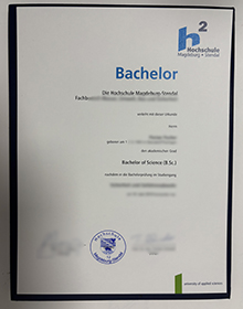 Hochschule Magdeburg-Stendal Urkunde sample