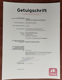 Hogeschool Rotterdam degree certificate