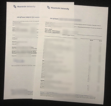 Maastricht University transcript sample