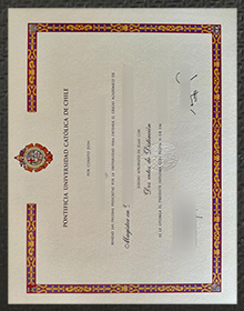 Pontificia Universidad Católica De Chile Degree sample