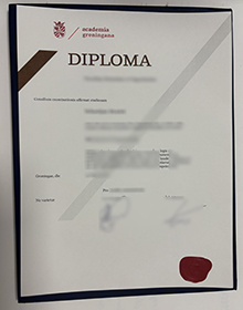 Rijksuniversiteit Groningen diploma sample