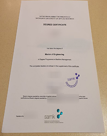 Satakunnan ammattikorkeakoulu degree certificate