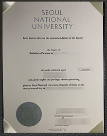 Seoul National University Diploma