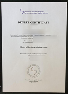 Tampereen ammattikorkeakoulu (TAMK) degree