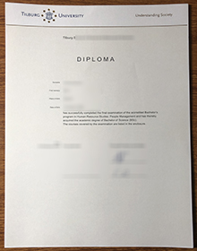 Tilburg University diploma
