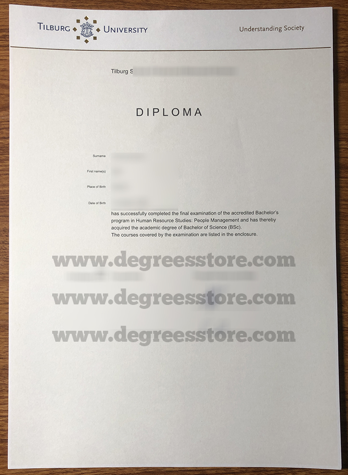 Tilburg University diploma