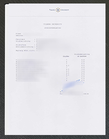 Tilburg University transcript sample
