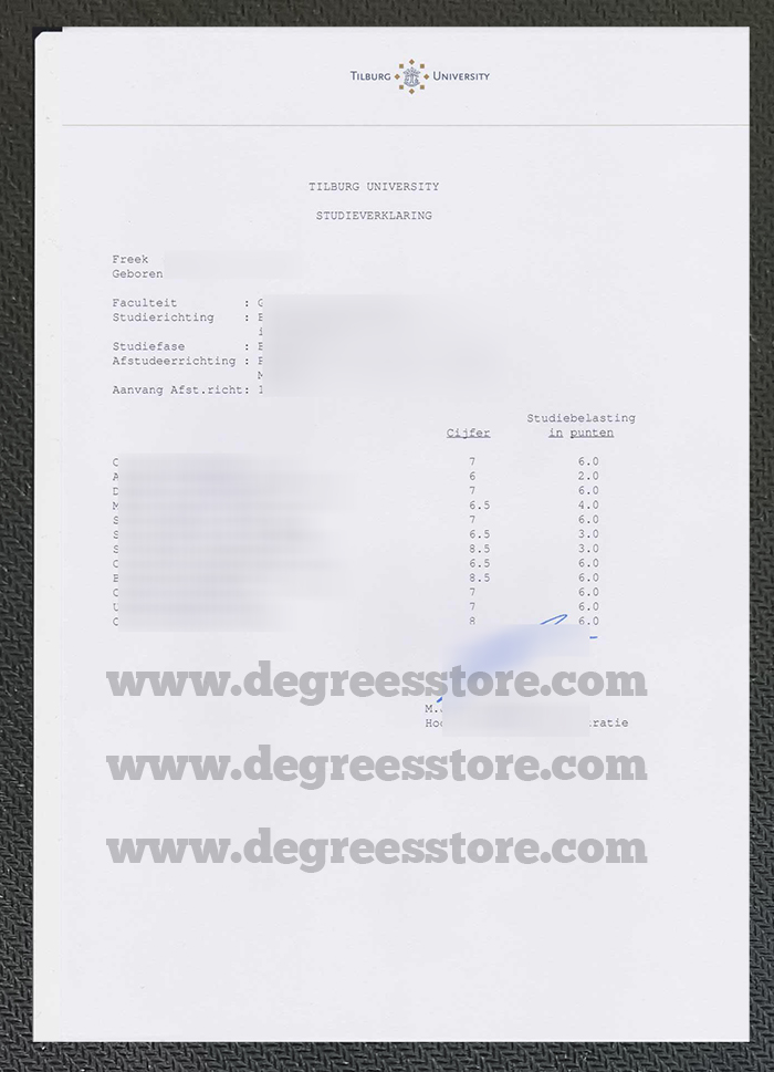 Tilburg University transcript