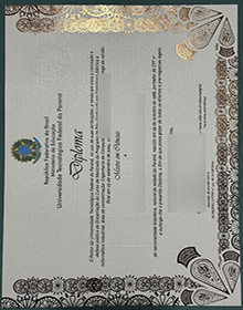 Universidade Tecnológica Federal do Paraná (UTFPR) degree