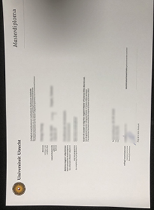 Universiteit Utrecht diploma