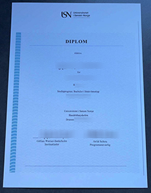 Universitetet i Sørøst-Norge (USN) diplom sample
