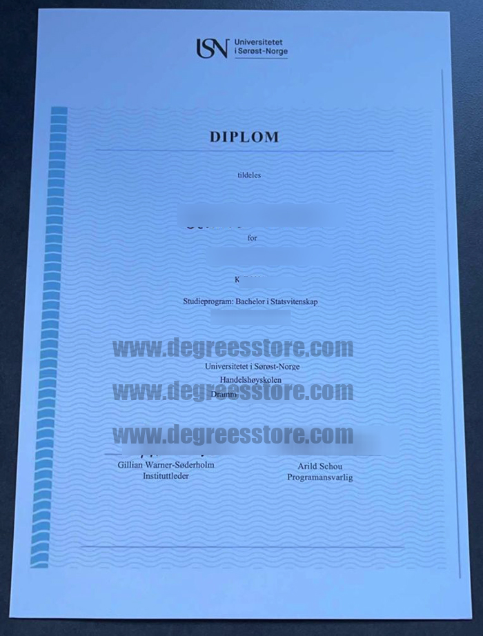 Universitetet i Sørøst-Norge (USN) diplom