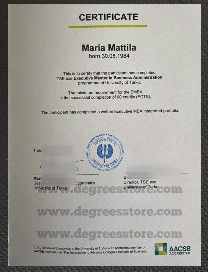 University of Turku diploma sample