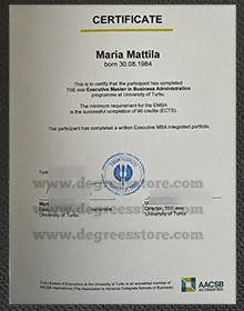 University of Turku diploma