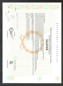 Aix-Marseille Université diploma sample