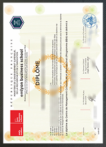 Emlyon Business School diplome sample