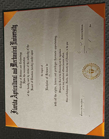 FAMU diploma certificate