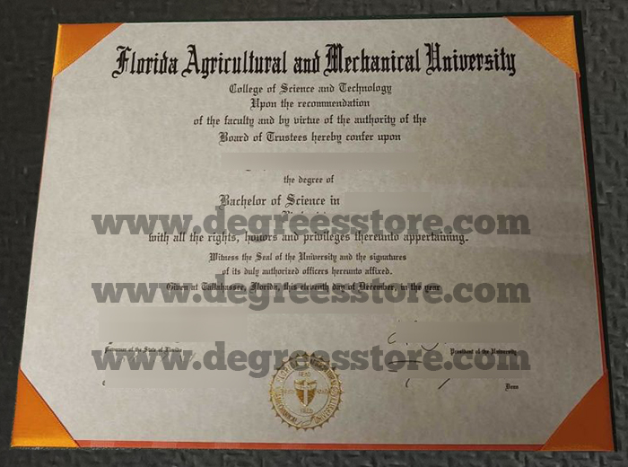 FAMU diploma