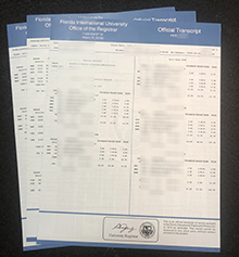 FIU transcript