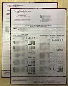 FSU transcript