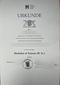 Hochschule Offenburg Urkunde sample