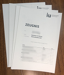 IU Internationale Hochschule Zeugnis sample