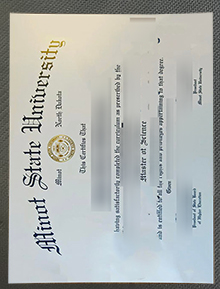 Minot State University degree sample