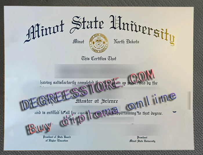 Minot State University degree